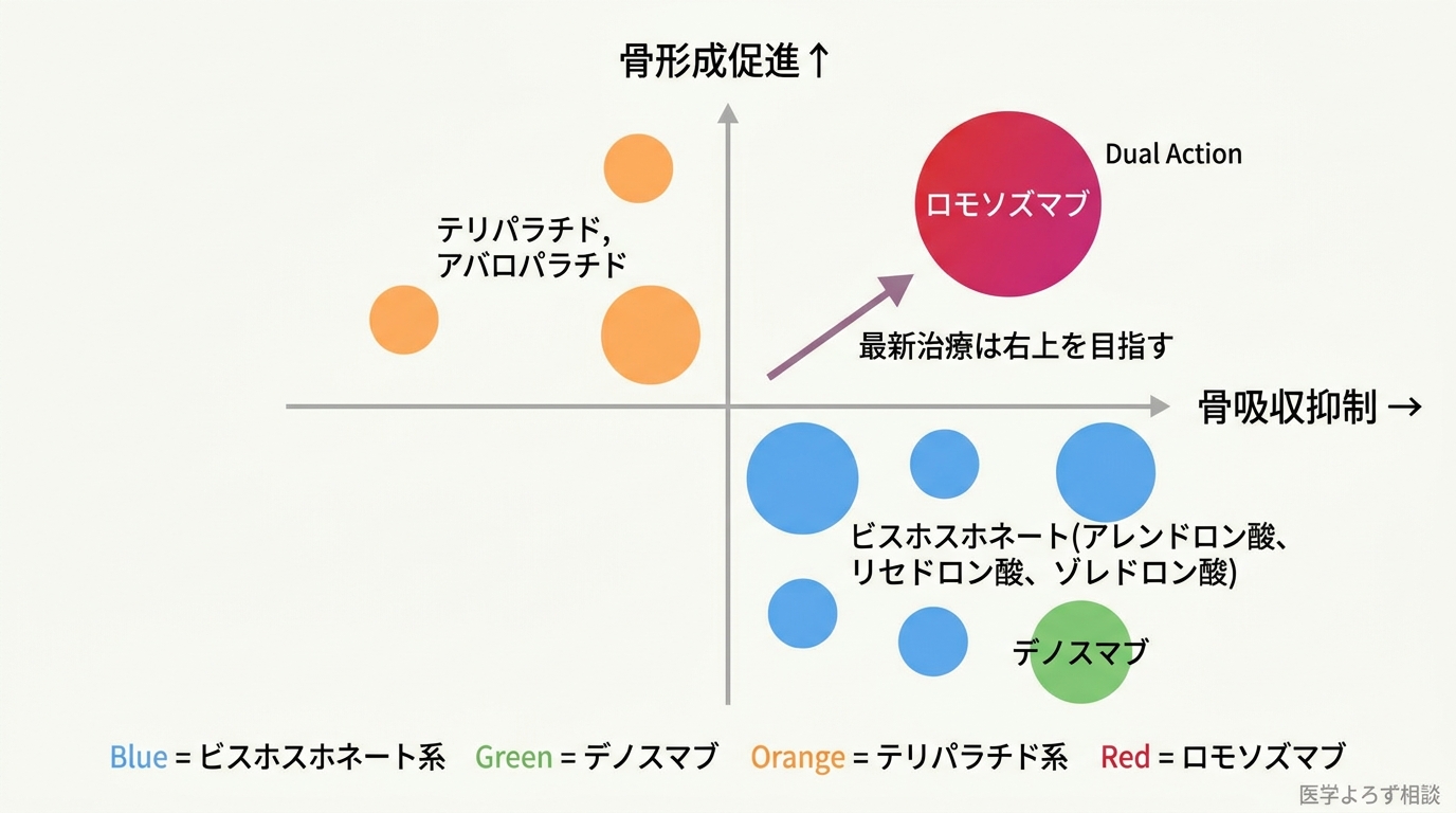 骨粗鬆症治療薬のマトリクス。縦軸が骨形成促進、横軸が骨吸収抑制。ロモソズマブが右上（二重作用）に位置する