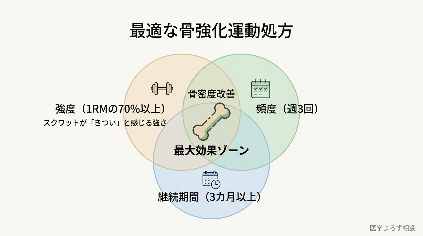 骨強化運動の3要素：強度（1RMの70%以上）、頻度（週3回）、継続期間（3カ月以上）