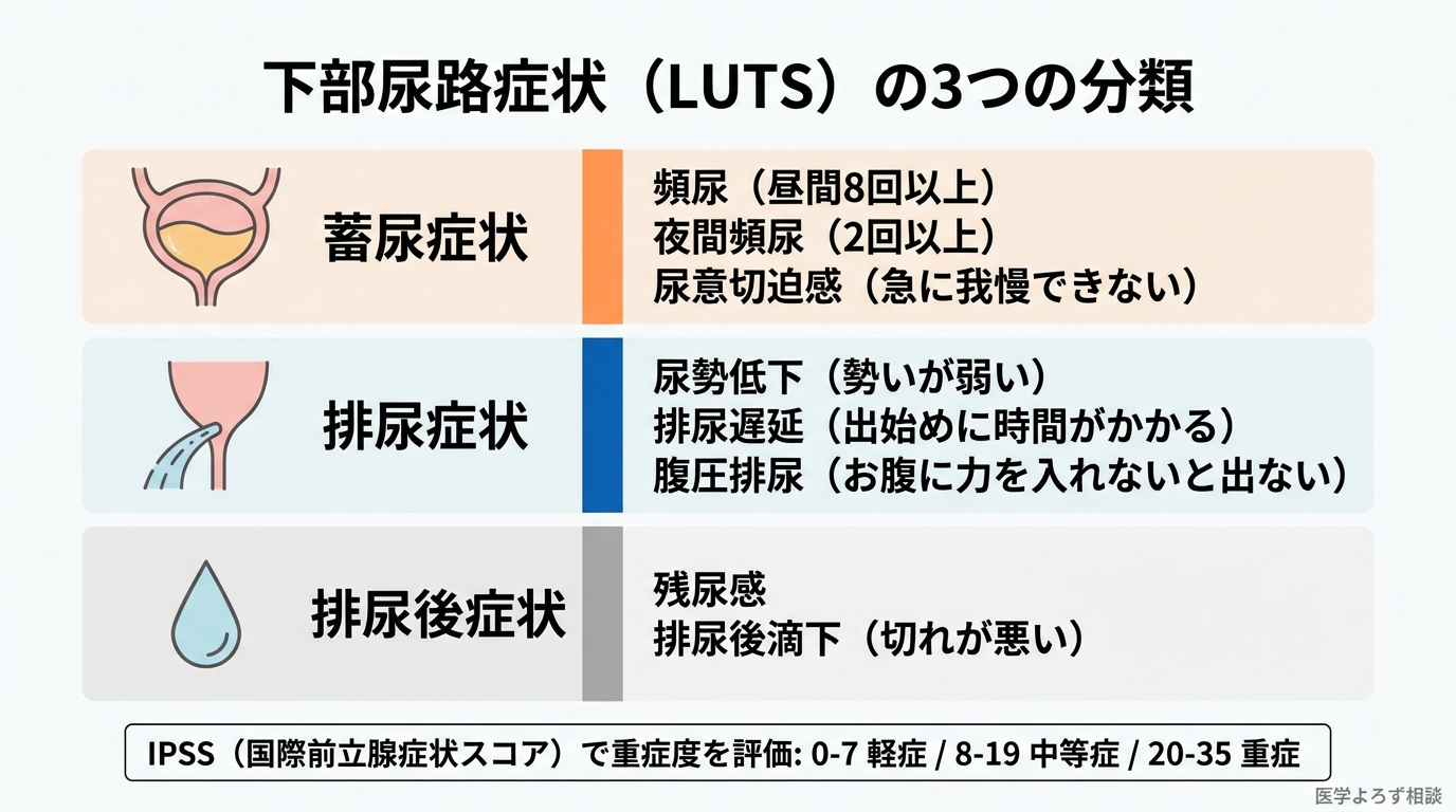 下部尿路症状（LUTS）の3つの分類：蓄尿症状・排尿症状・排尿後症状
