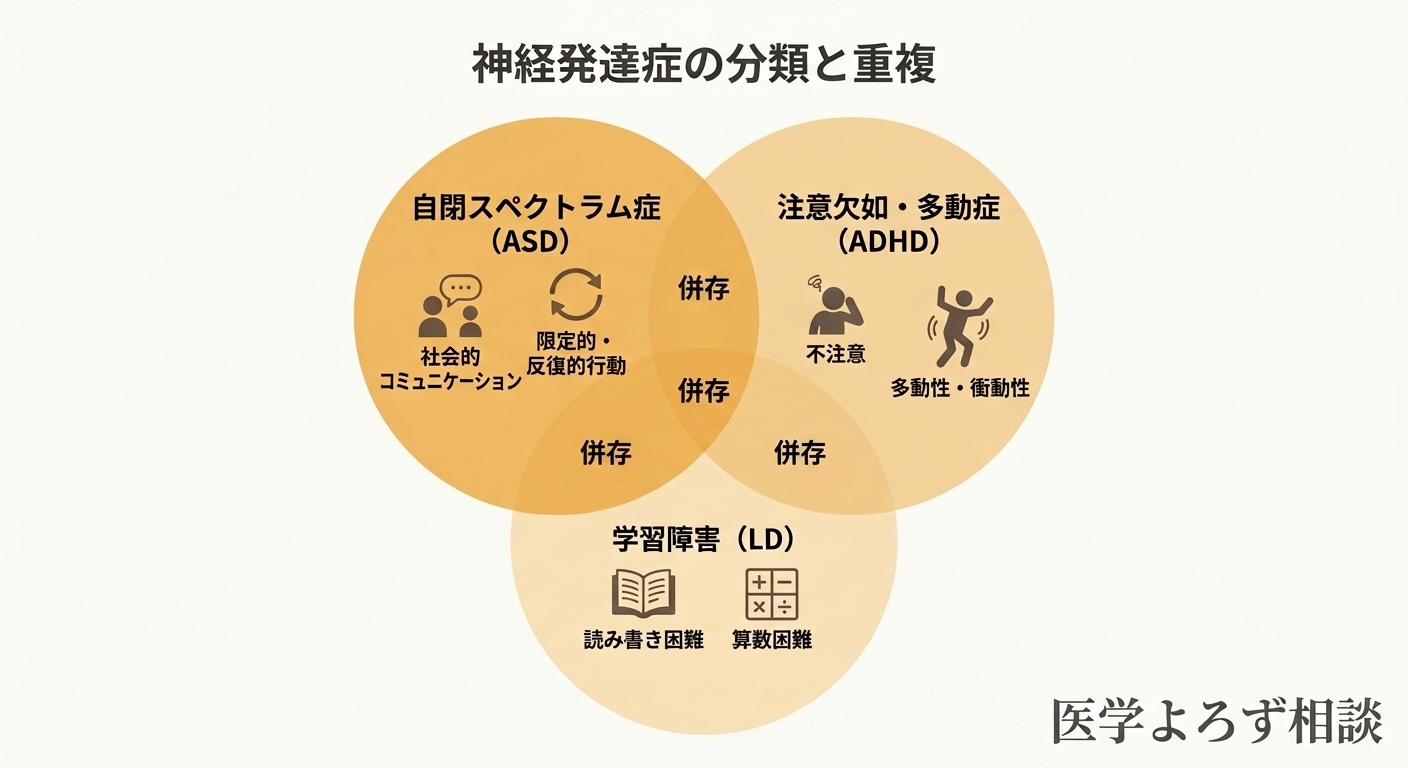 発達障害の分類図。ASD・ADHD・LDの関係と特性の重複を示す概念図