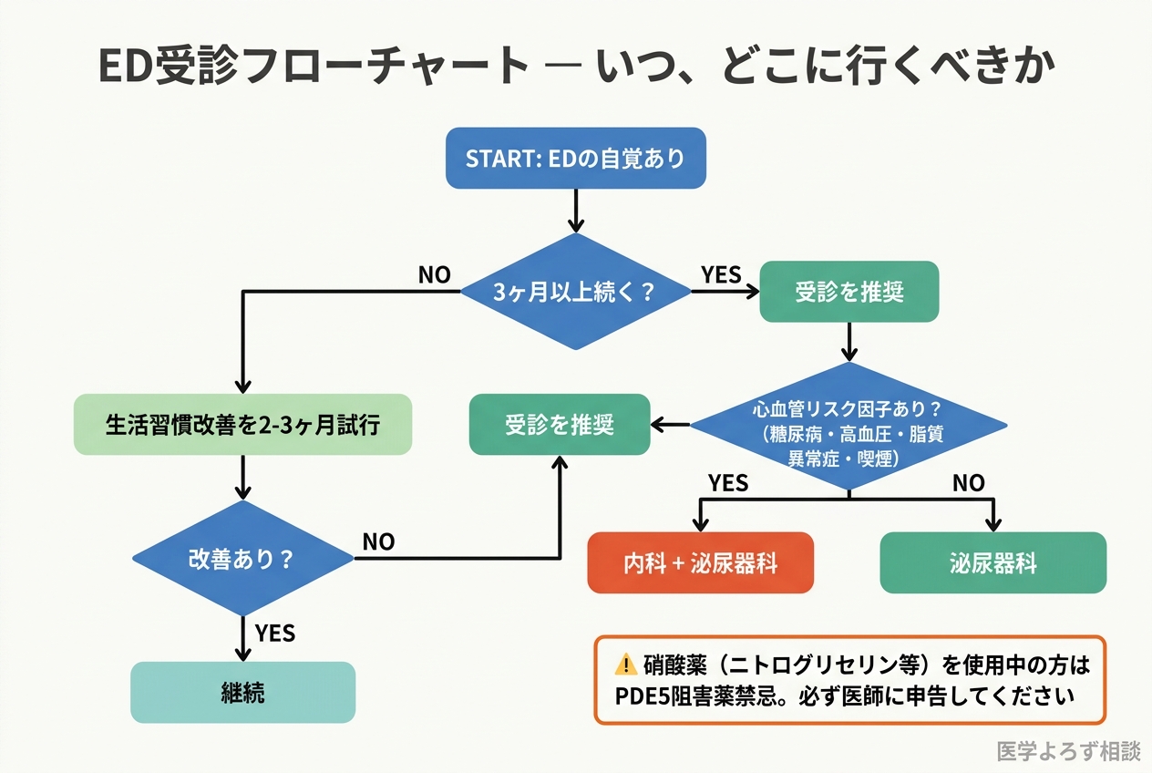 ED受診フローチャート：3ヶ月以上続く場合は受診推奨、心血管リスク因子ありなら内科＋泌尿器科、なければ泌尿器科。3ヶ月未満なら生活習慣改善を試行
