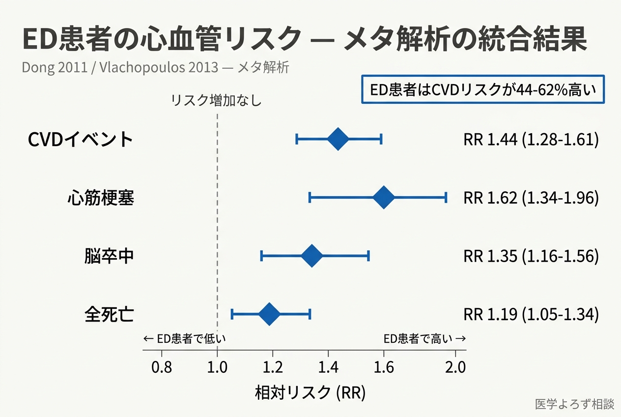ED患者の心血管リスクのフォレストプロット：CVDイベントRR 1.44、心筋梗塞RR 1.62、脳卒中RR 1.35、全死亡RR 1.19。すべてRR=1.0の基準線を超えている