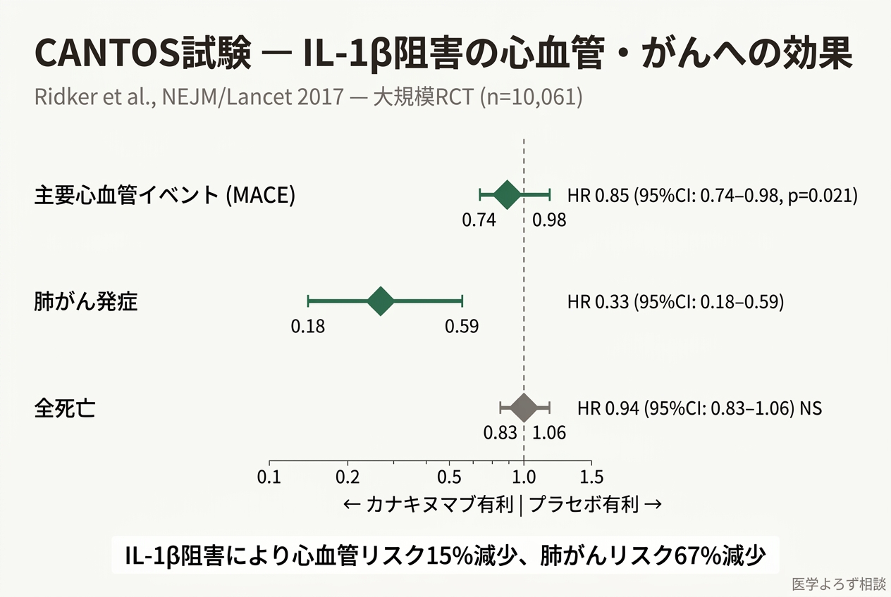 CANTOS試験の主要結果。MACE 15%減少、肺がん67%減少