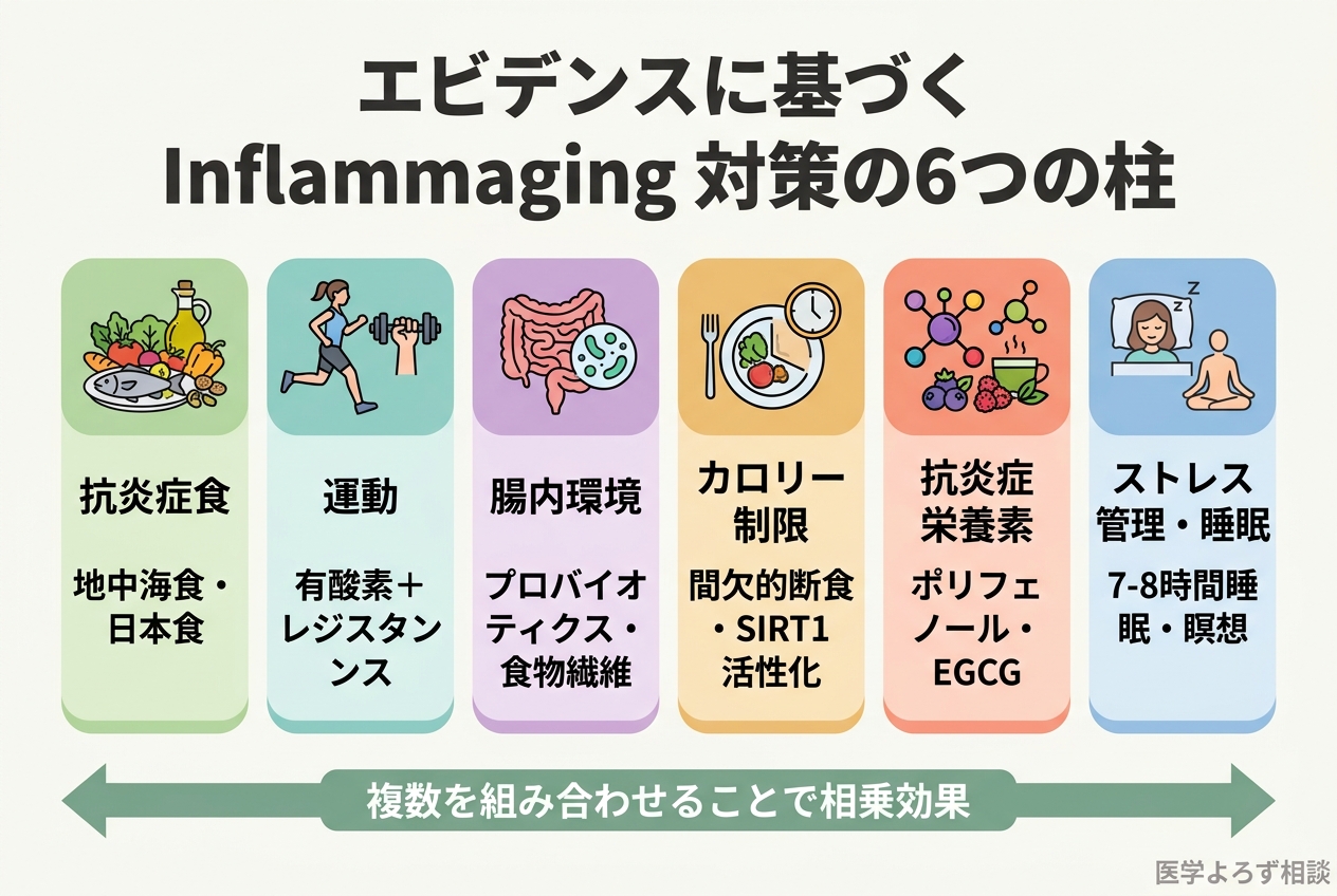 Inflammaging対策の6つの柱を示すロードマップ
