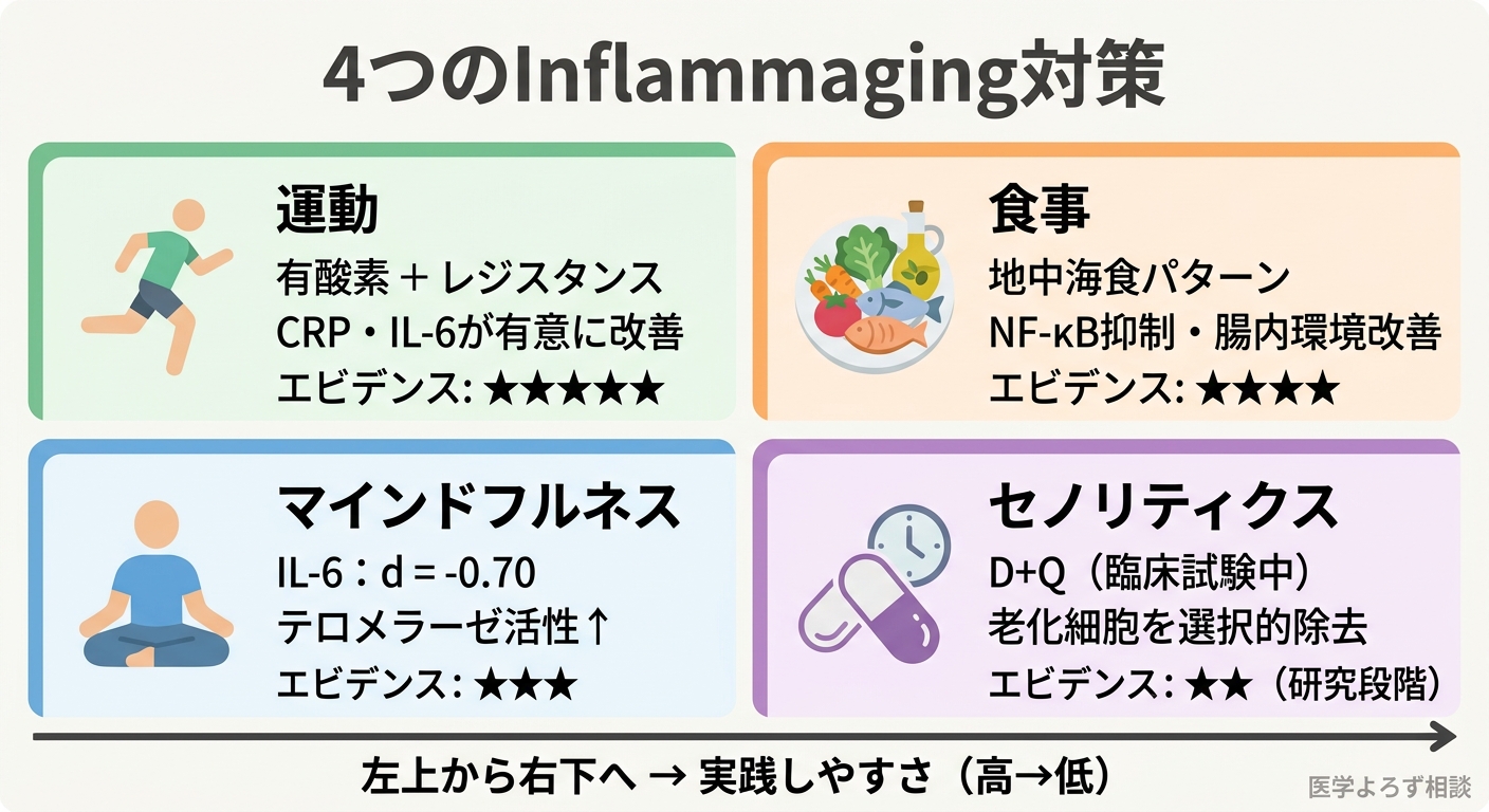 Inflammaging対策の4つの戦略：運動、食事、マインドフルネス、セノリティクスのマップ
