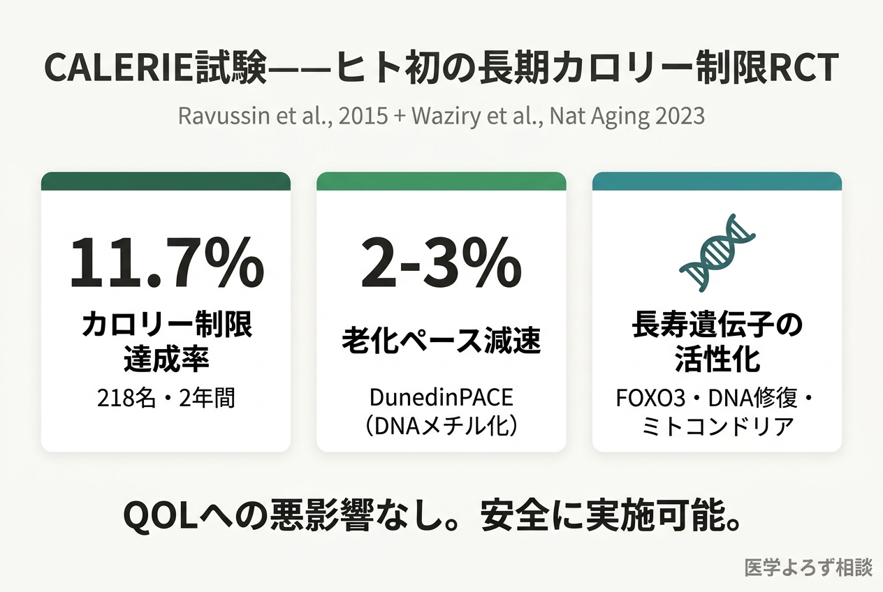 CALERIE試験の主要結果——DunedinPACEの減速、TNF-α低下、心代謝リスク改善