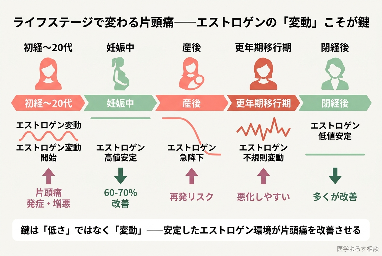 女性のライフステージ別の片頭痛変化を示すインフォグラフィック。初経期、妊娠期、産後、更年期、閉経後のエストロゲン変動と片頭痛頻度の対応関係を図示
