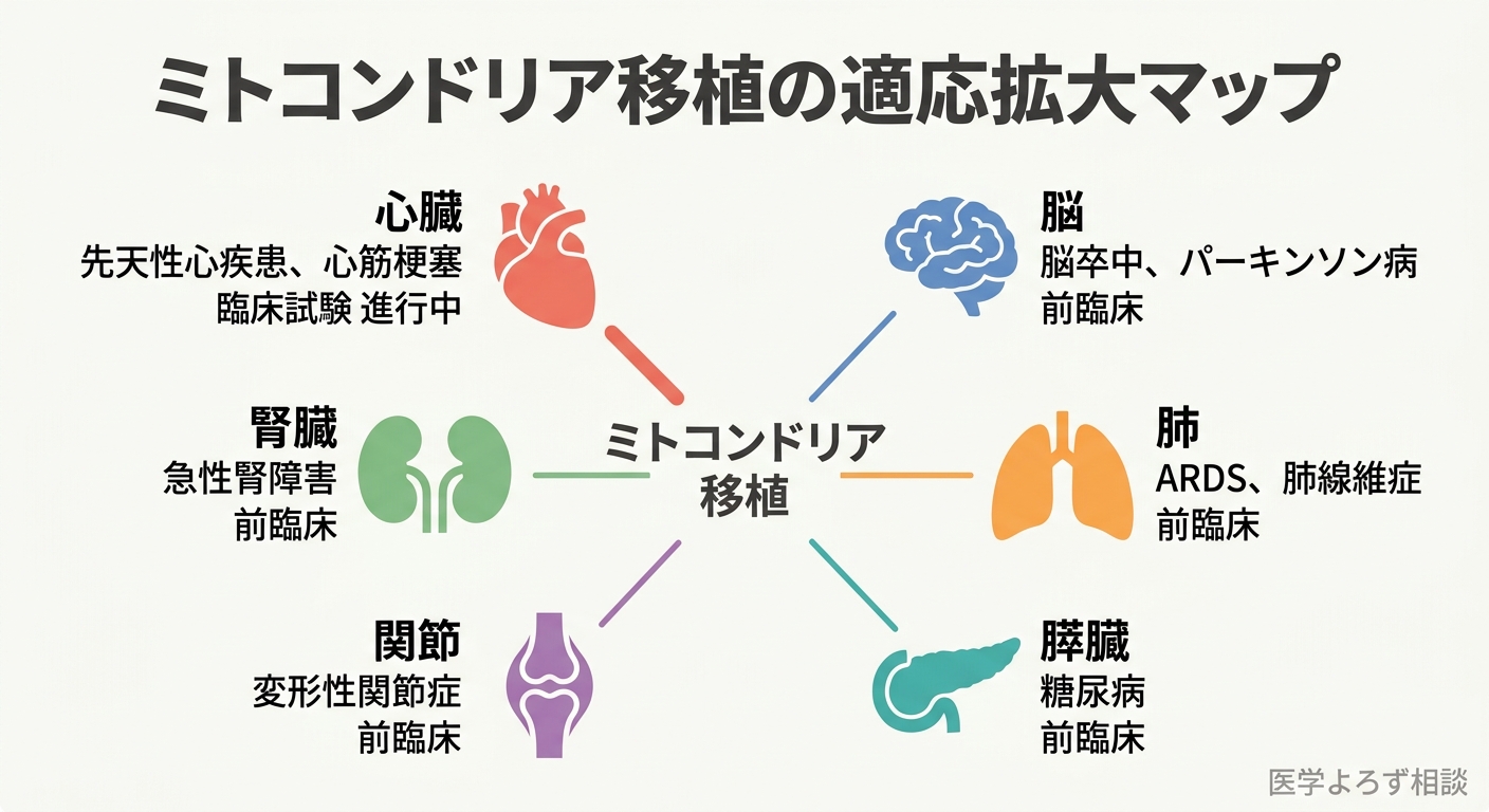 ミトコンドリア移植の適応疾患マップ。心臓、腎臓、脳、関節、膵臓など多臓器への展開を示す