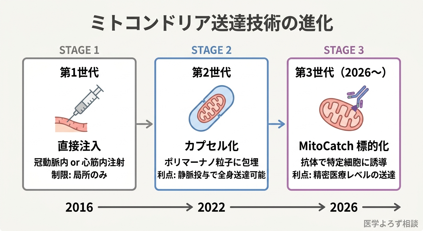 次世代ミトコンドリア送達技術の比較図。裸のミトコンドリア、カプセル化、MitoCatch標的化の3方式