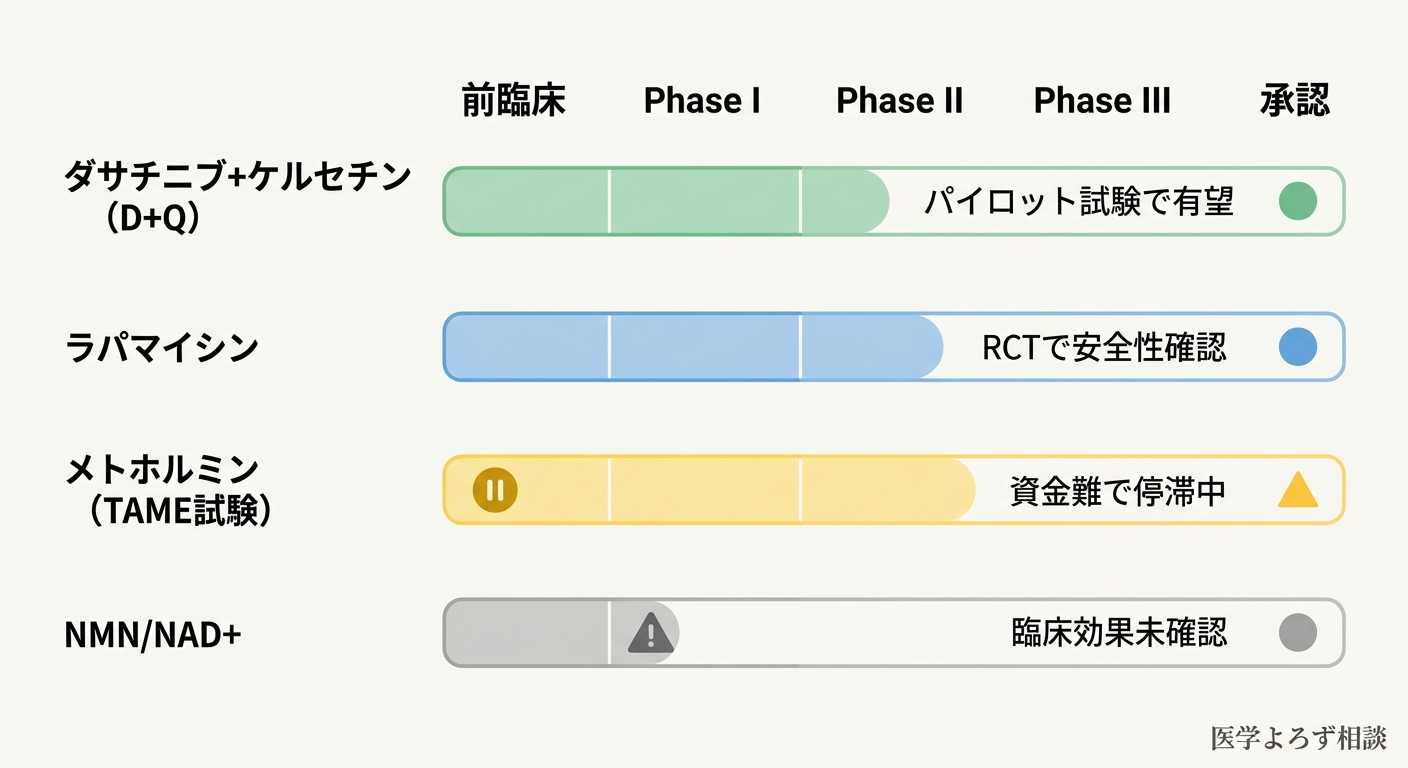 長寿薬候補の臨床試験パイプライン比較。D+Q、ラパマイシン、メトホルミン、NMN/NAD+の4薬剤の開発段階とエビデンスレベルを一覧で比較
