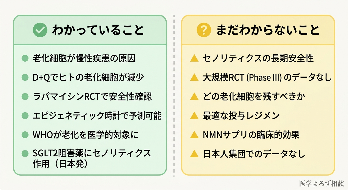 長寿科学の現在地マップ。確立された知見（老化細胞の除去、RCTでの安全性確認等）とまだわからないこと（長期安全性、大規模RCTなし等）を対比した図