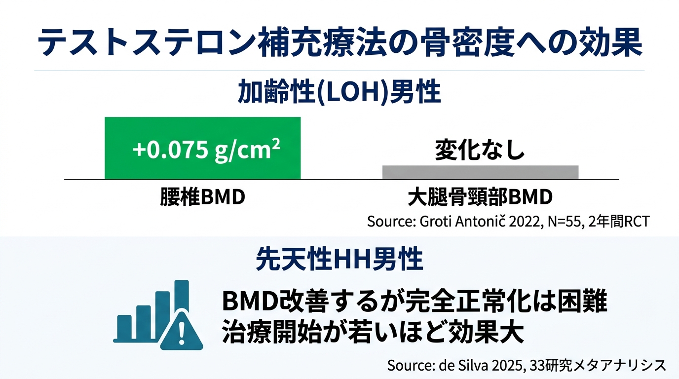 テストステロン補充療法の骨密度への効果