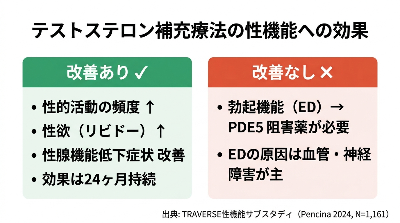 テストステロン補充療法の性機能への効果